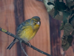 Vogelpark Olching