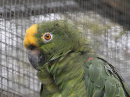 Vogelpark Olching