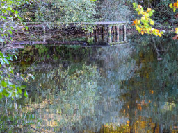 Berolina Auto 2,8/100mm