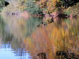 Berolina Auto 2,8/100mm