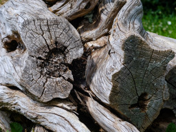 Berolina Auto 2,8/100mm