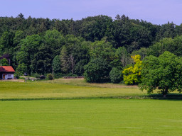 Berolina Auto 2,8/100mm