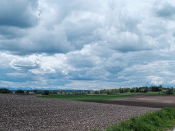 Carl Zeiss Distagon 2,8/25mm