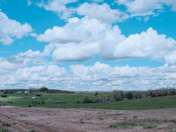 Carl Zeiss Distagon 2,8/25mm