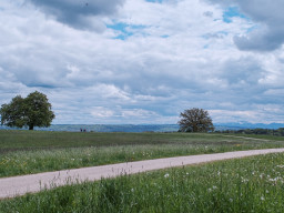 Carl Zeiss Distagon 2,8/25mm