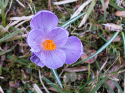 Carl Zeiss Distagon 2,8/25mm