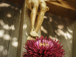 Enna München 4/24mm