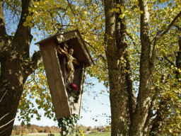 Enna München 4/24mm