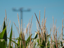 Fujinon-T EBC 2,8/100mm