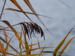 Fujinon-T EBC 2,8/100mm