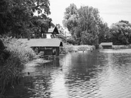 Fujinon EBC 1,8/55mm