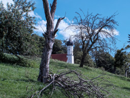 Fujinon EBC 3,5/28mm