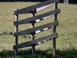 Minolta MC Macro 3,5/100mm