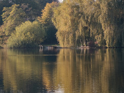 Minolta MC Macro 3,5/100mm