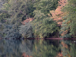 Minolta MC Macro 3,5/100mm