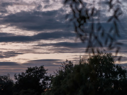 Minolta MC Macro 3,5/100mm