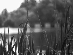 Minolta MD Rokkor-X 3,5/135mm