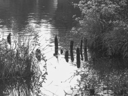 Minolta MD Rokkor-X 3,5/135mm