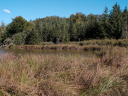 Aubachtal
