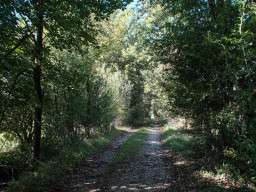 Aubachtal