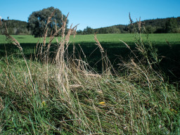 Aubachtal