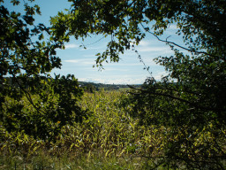 Aubachtal