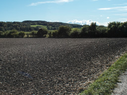 Aubachtal
