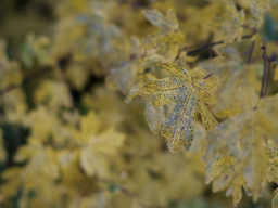 Von Weßling nach Steinebach