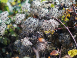 Von Weßling nach Steinebach