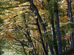 Von Weßling nach Steinebach