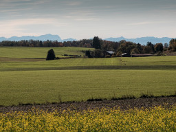 Von Weßling nach Steinebach