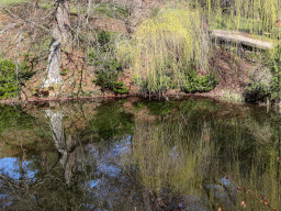 Buchheim Museum der Phantasie