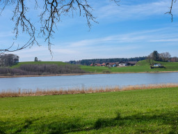 Eggelburger See