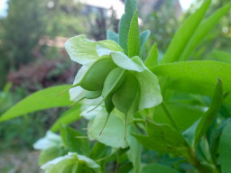 Erzabtei St. Ottilien