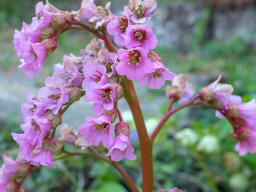 Erzabtei St. Ottilien