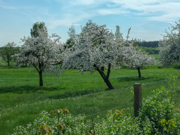 Erzabtei St. Ottilien