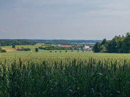 Steinberg (Gilching)