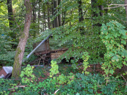 Steinberg (Gilching)