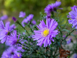 Steinberg (Gilching)