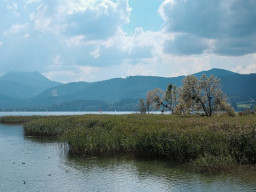 Tegernsee